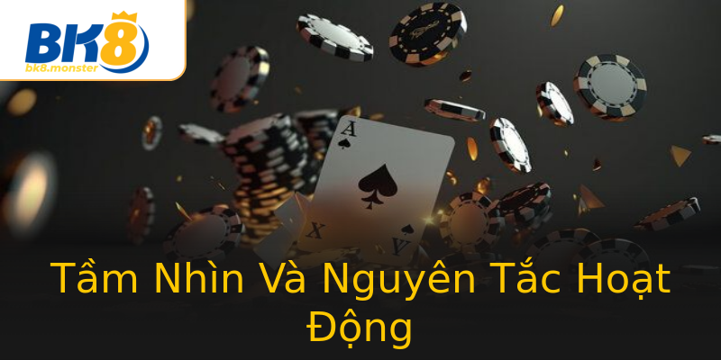 Tầm Nhìn Và Nguyên Tắc Hoạt Động Tầm Nhìn Và Nguyên Tắc Hoạt Động